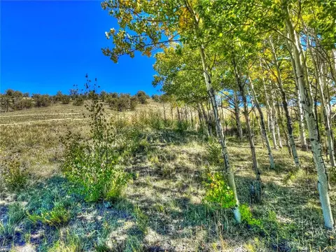 00 Oglala Trl, Hartsel, CO 80449 photo 15