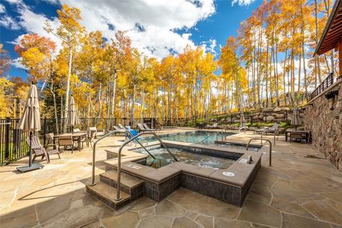 22 E Baron Way, Silverthorne, CO 80498 photo 25