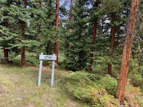 790 Penstemon Rd, Dillon, CO 80435 photo 1