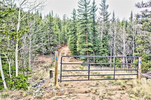 243 Bear Way, Como, CO 80432 photo 1