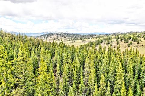 243 Bear Way, Como, CO 80432 photo 9