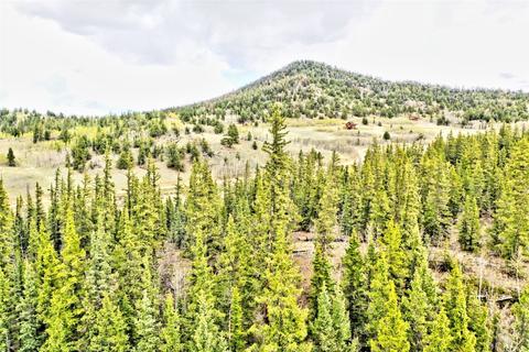 243 Bear Way, Como, CO 80432 photo 10