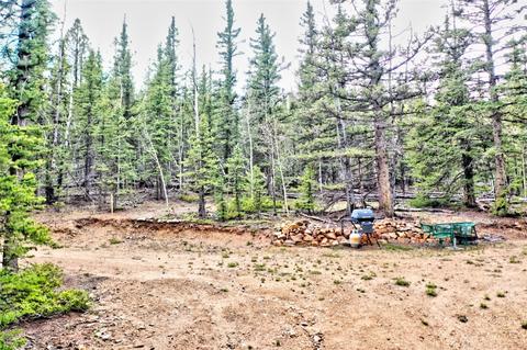 243 Bear Way, Como, CO 80432 photo 8