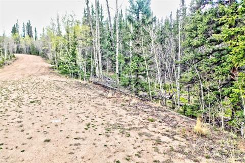 243 Bear Way, Como, CO 80432 photo 2