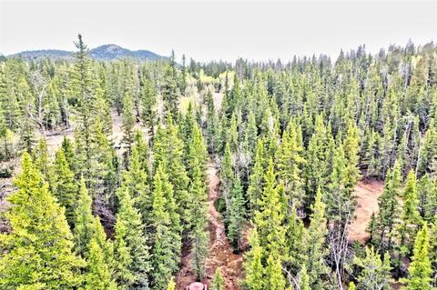 243 Bear Way, Como, CO 80432 photo 12