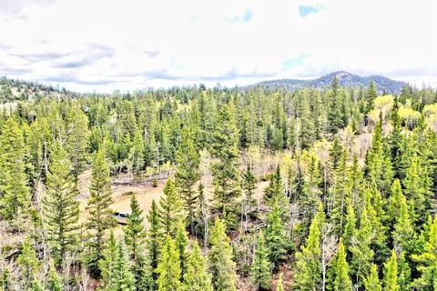 243 Bear Way, Como, CO 80432 photo 11
