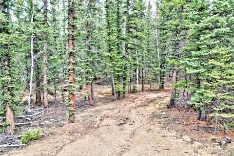 243 Bear Way, Como, CO 80432 photo 6