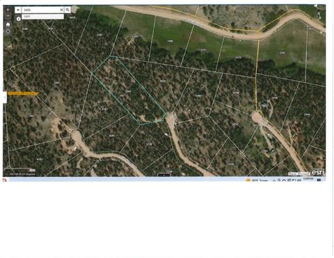 243 Bear Way, Como, CO 80432 photo 14
