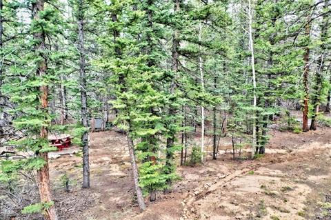 243 Bear Way, Como, CO 80432 photo 7