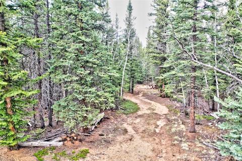 243 Bear Way, Como, CO 80432 photo 4