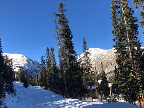 246 Hamilton Ln, Breckenridge, CO 80424