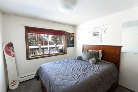 102 Poplar Cir, Silverthorne, CO 80498 photo 9