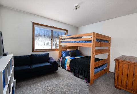 102 Poplar Cir, Silverthorne, CO 80498 photo 10