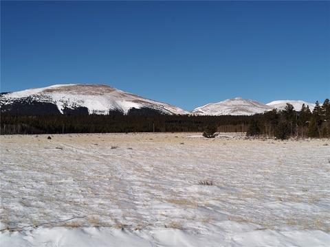 0 Foxtail Dr, Fairplay, CO 80440