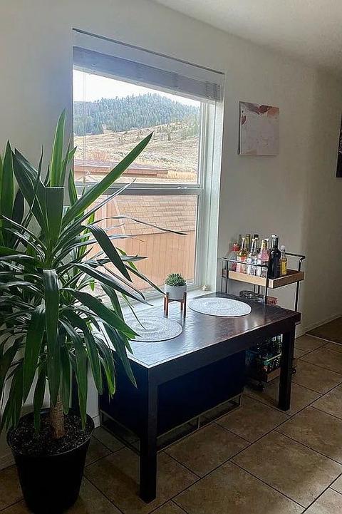 99 Red Cloud Peak Rd, Dillon, CO 80435 photo 6