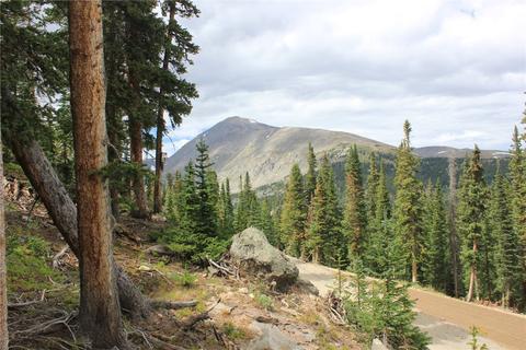 155 Quandary View Dr, Breckenridge, CO 80424