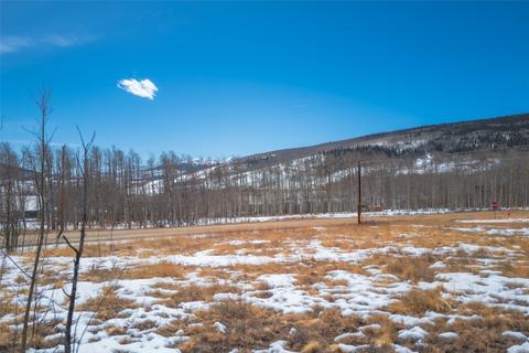 123 High Creek Rd, Fairplay, CO 80440
