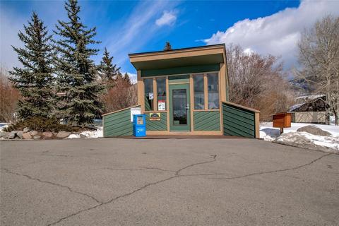 1603 N Chipmunk Ln, Silverthorne, CO 80498 photo 23