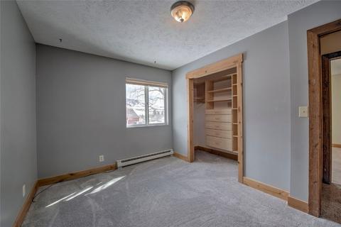 1603 N Chipmunk Ln, Silverthorne, CO 80498 photo 19