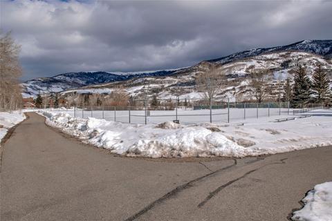 1603 N Chipmunk Ln, Silverthorne, CO 80498 photo 24