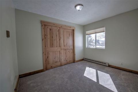 1603 N Chipmunk Ln, Silverthorne, CO 80498 photo 17