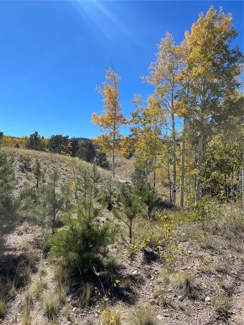 356 Bolster Dr, Hartsel, CO 80449