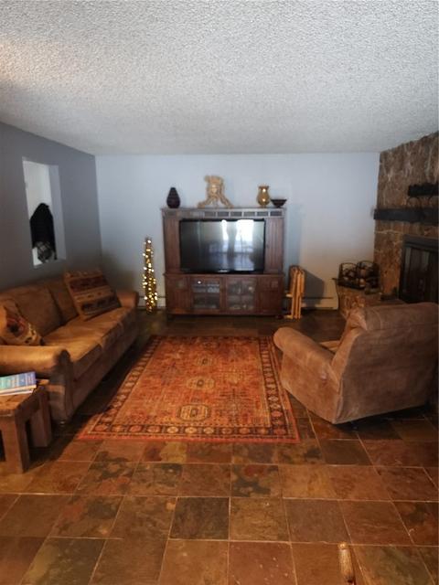 401 Vail Cir, Dillon, CO 80435 photo 20