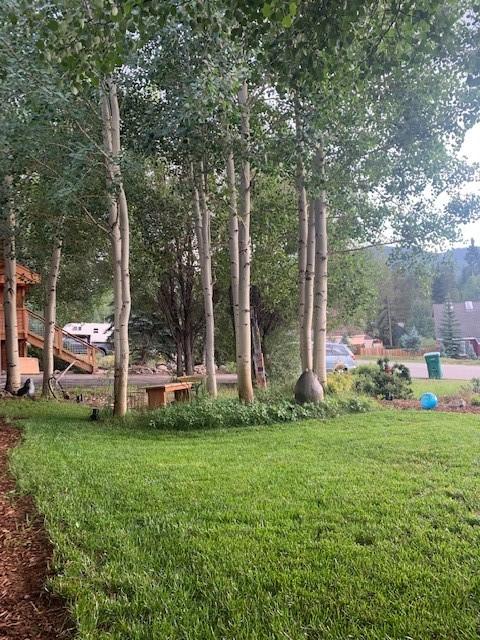 401 Vail Cir, Dillon, CO 80435 photo 27