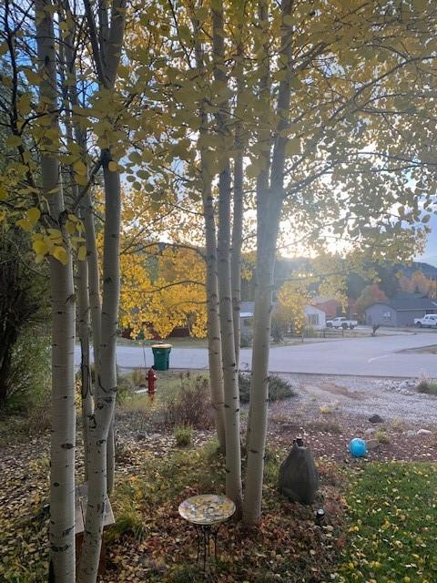 401 Vail Cir, Dillon, CO 80435 photo 28