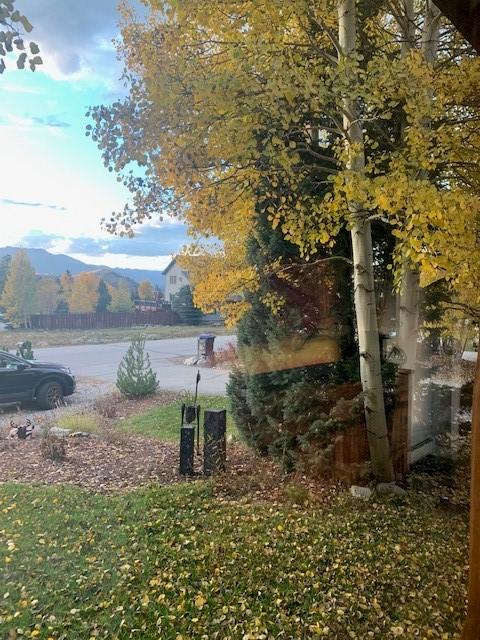 401 Vail Cir, Dillon, CO 80435 photo 29