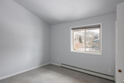 231 Alpine Rd, Dillon, CO 80435 photo 28