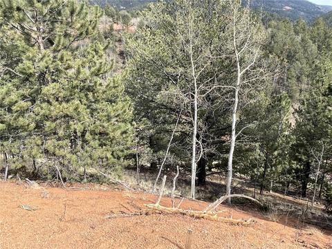 998 Pikes Peak Dr, Other, CO 80814 photo 8