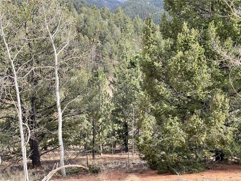 998 Pikes Peak Dr, Other, CO 80814 photo 7