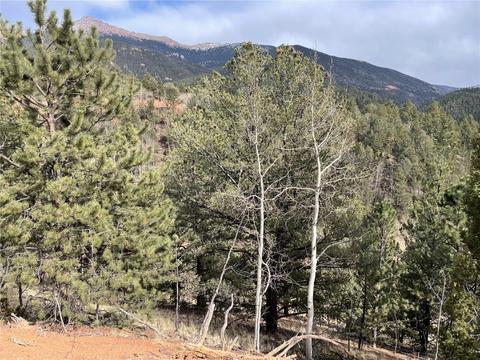 998 Pikes Peak Dr, Other, CO 80814 photo 4