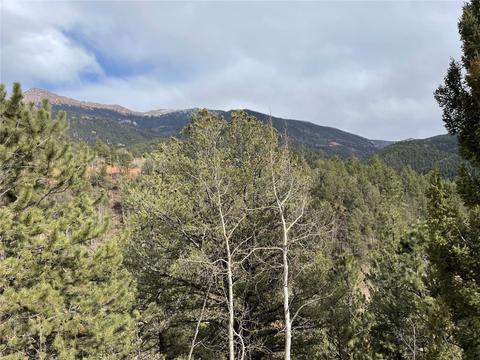 998 Pikes Peak Dr, Other, CO 80814 photo 5