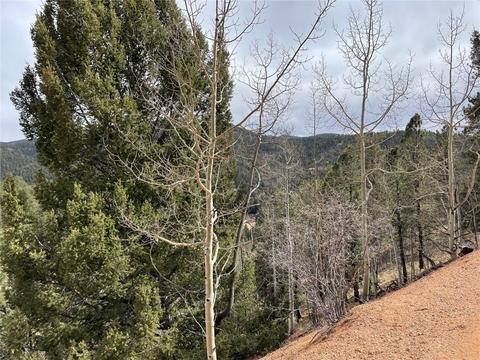 998 Pikes Peak Dr, Other, CO 80814 photo 6