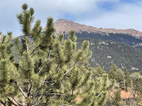 998 Pikes Peak Dr, Other, CO 80814 photo 1