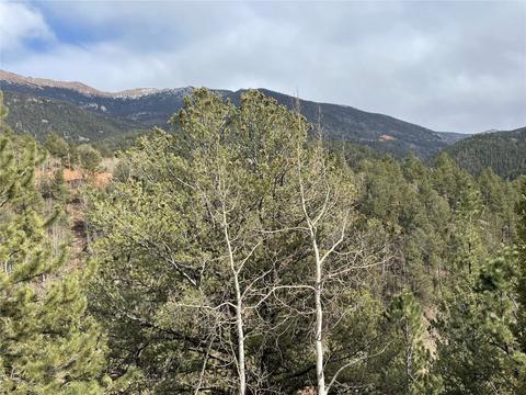 998 Pikes Peak Dr, Other, CO 80814 photo 2