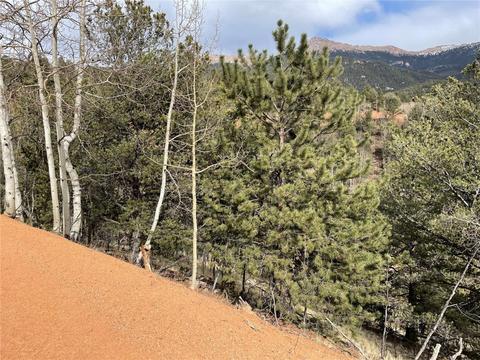 998 Pikes Peak Dr, Other, CO 80814 photo 3