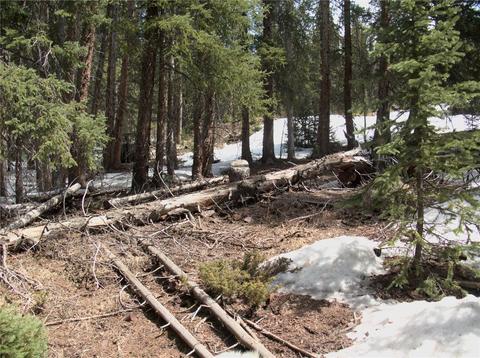 TBD Milner Street, Montezuma, CO 80435