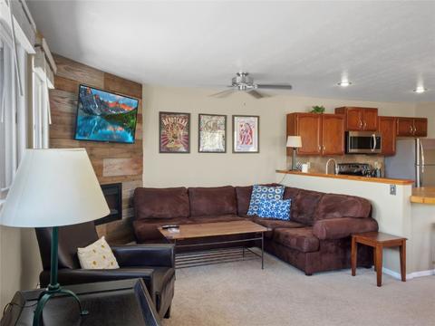 409 Salt Lick Cir #4012, Silverthorne, CO 80498 photo 9