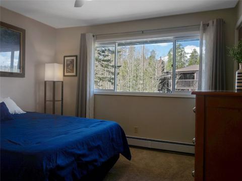 409 Salt Lick Cir #4012, Silverthorne, CO 80498 photo 15