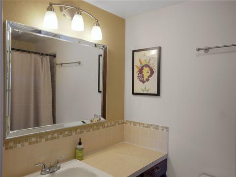 409 Salt Lick Cir #4012, Silverthorne, CO 80498 photo 20