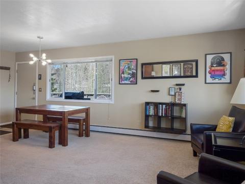 409 Salt Lick Cir #4012, Silverthorne, CO 80498 photo 12