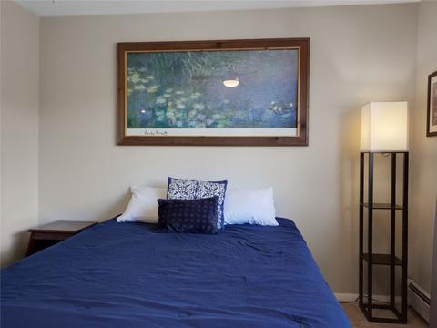 409 Salt Lick Cir #4012, Silverthorne, CO 80498 photo 18