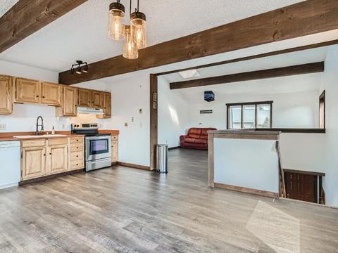 1590 S Badger Ln S 175 Willowbrook Rd, Silverthorne, CO 80498 photo 3