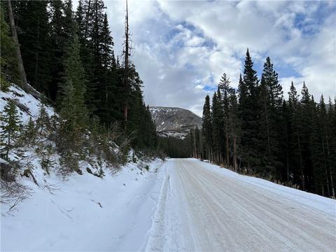 621 Kimmes Ln, Breckenridge, CO 80424