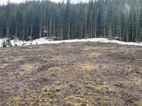 40 E Trade Ct, Keystone, CO 80435 photo 5