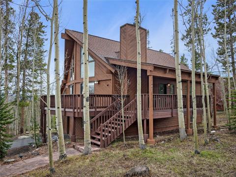 247 Spring Beauty, Silverthorne, CO 80498