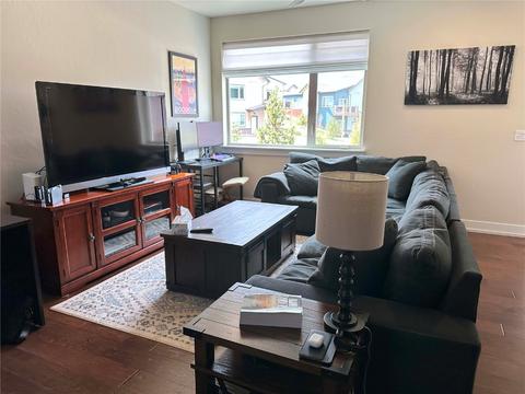 34 Lantern Aly, Silverthorne, CO 80498 photo 7